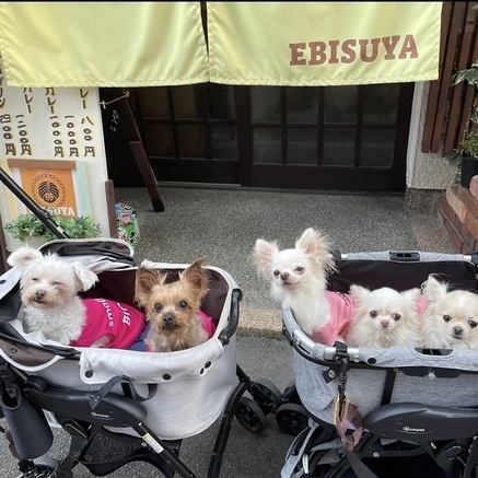 ペット同伴OK★大切な家全員とこだわりの和食をお楽しみください！※犬用メニューはございません。持ち込みは可能です。