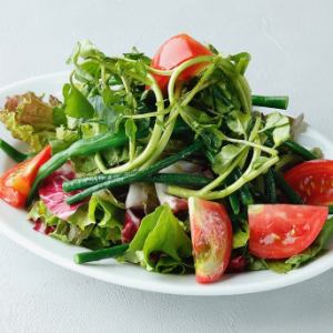 Fresh green salad