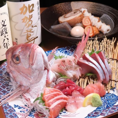 金沢中央市場直送のお刺身