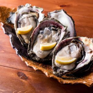 Raw oysters (1)