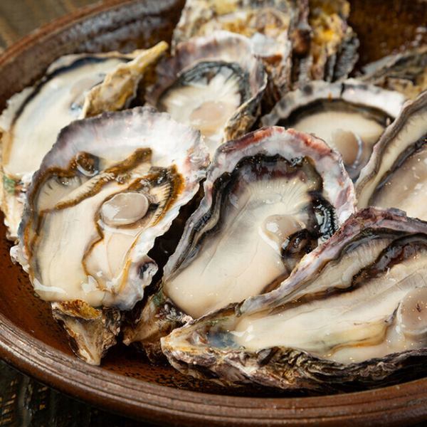 名物1◆坂越直送の新鮮な生牡蠣が年中楽しめます♪