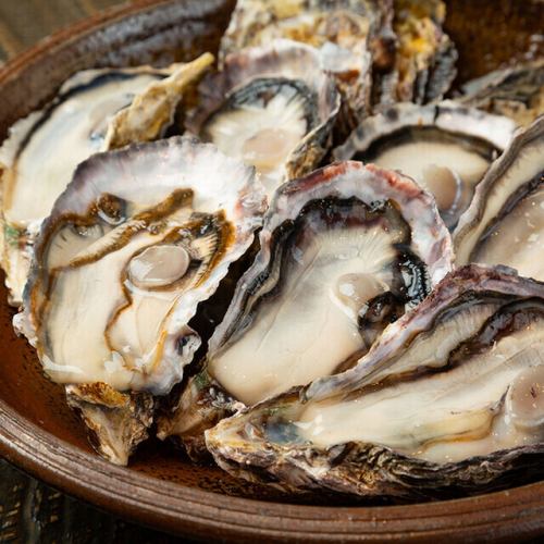名物1◆坂越直送の新鮮な生牡蠣が年中楽しめます♪