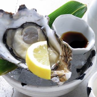 1 piece of raw oysters or grilled oysters from Hokkaido