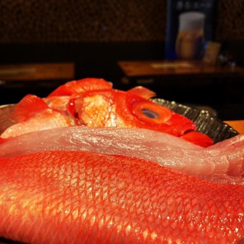 今天推薦的鮮魚和歌山縣紅鯛魚生魚片