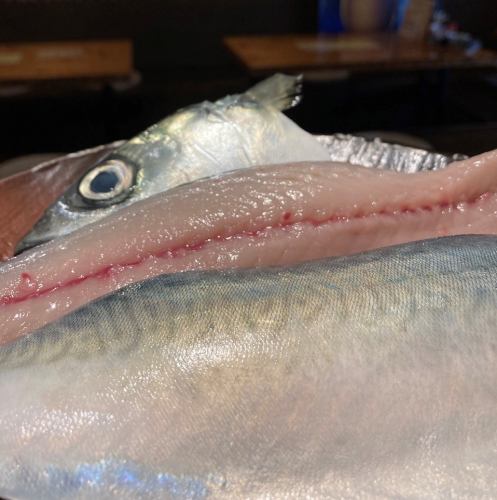 Today's recommended fresh fish Ehime mandarin orange mackerel sashimi