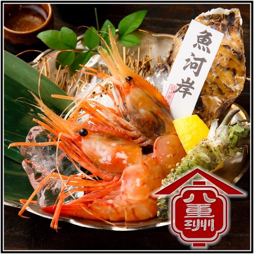 Red shrimp sashimi