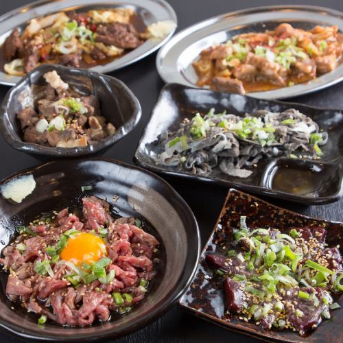 Japanese Black Wagyu Beef Skirt Steak