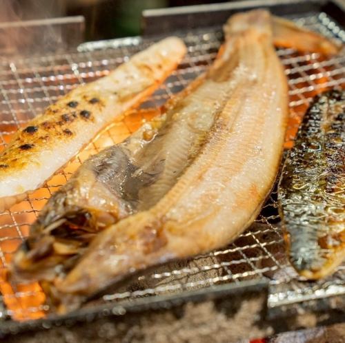 本格炉端料理