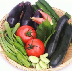 自家栽培の夏野菜使用