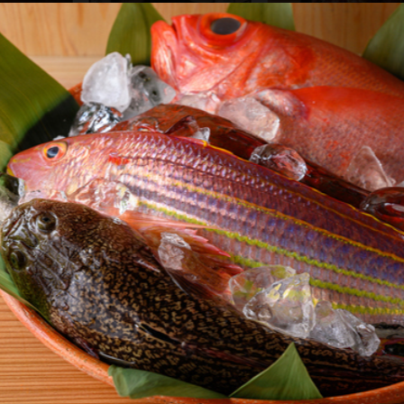 天然魚にこだわった海鮮を揃えており、丁寧に調理しております。