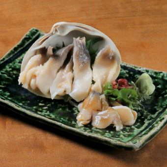 Surf clams from Hokkaido