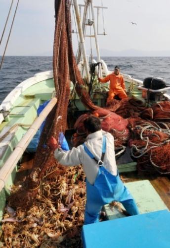 [You can eat seafood directly from the production area in Higashi Ward]