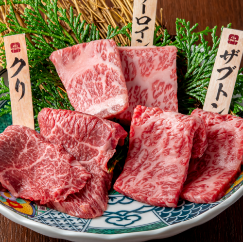 수많은 희소 부위를 일일로