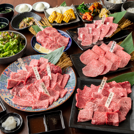 【~이바야의 추천이 집결~】 흑모 와규를 사치스럽게 만끽!