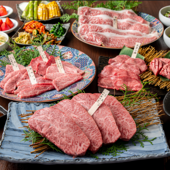 【包含2小时畅饮 ~ 豪华宴会及晚宴的理想之选 ~】“极致”套餐,尽享和牛美味,12,760日元