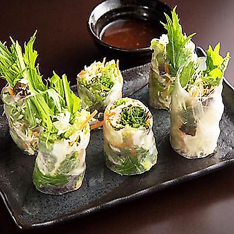 Raw spring roll