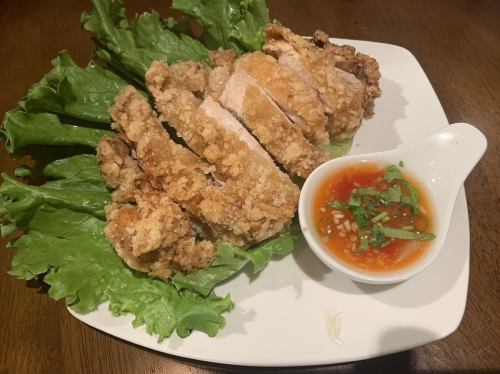 카이도트