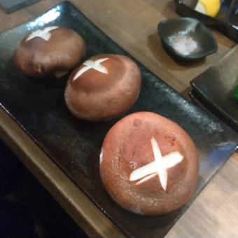버섯 고노엔 표고 버섯