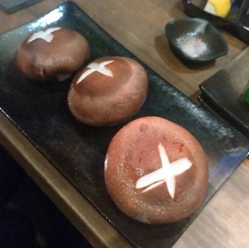 버섯 고노엔 표고 버섯