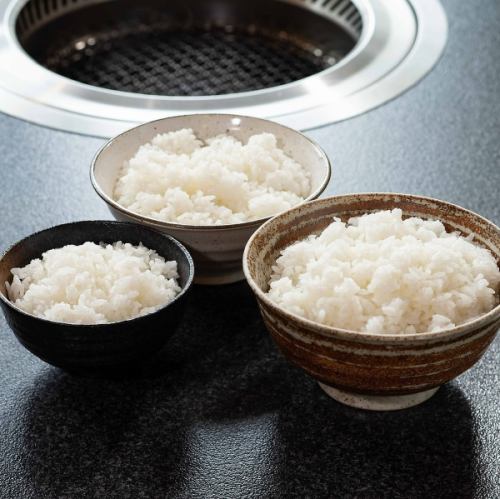 ほかほかごはん