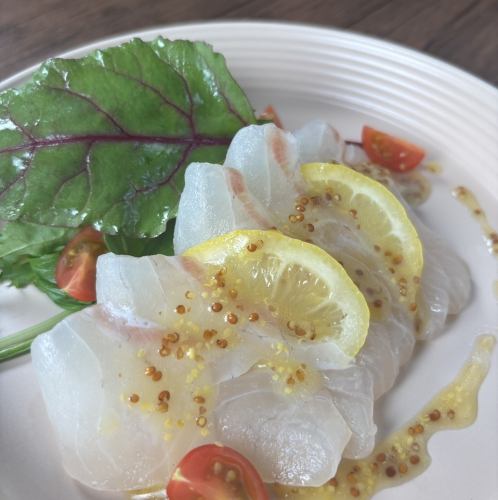 참돔 카르파치오