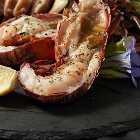 "Limited Time Offer" Pair of Lobster Course