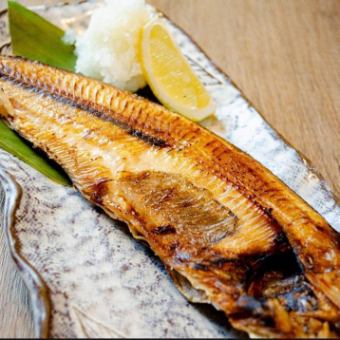 Extra large salt-grilled Atka mackerel