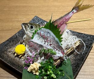 Sashimi of live horse mackerel