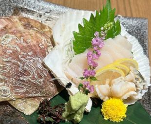 Scallop sashimi with shell