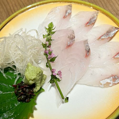Magochi sashimi