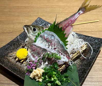 [Fresh seafood captivates your taste buds!] Fresh horse mackerel sashimi