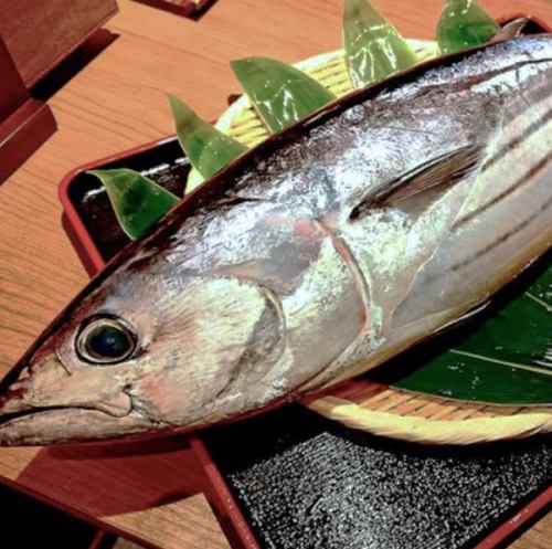 産地直送、朝締めの新鮮魚介が毎日入荷します！