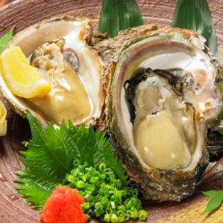 Roasted oysters with shells (1)