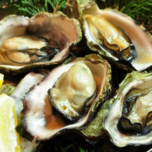 The secret that you can eat all-you-can-eat oysters for 2750 yen (excluding tax) ...