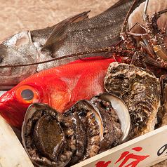 おすすめ◇銀だらの西京焼きと飛騨牛まぶし等全7品【白銀コース】ハクギン5,500円⇒4,500円