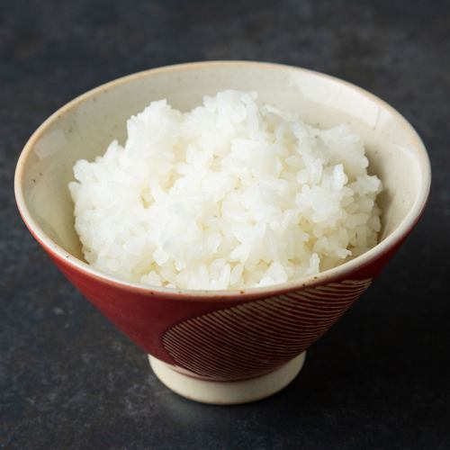 ごはん