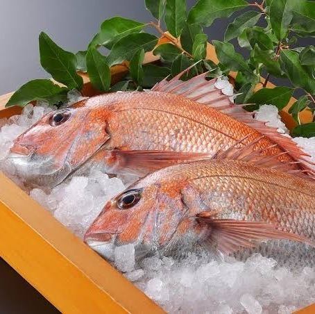 We offer a reasonable 6-course meal featuring wild Setouchi sea bream, with 120 minutes of all-you-can-drink included!