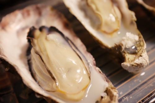 Steamed oysters