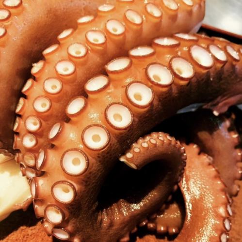 Enjoy fresh Setouchi seafood delivered directly from Shimotsui Port!