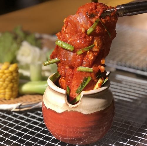 丸ごと一枚台湾チキン