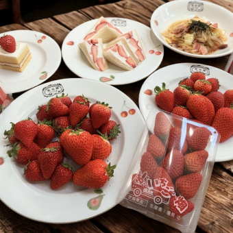 【平日限定】いちごの食べ比べ食べ放題　1部 15:30~17:00