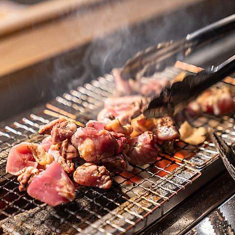 今宵も焼鳥片手にビールで乾杯！
