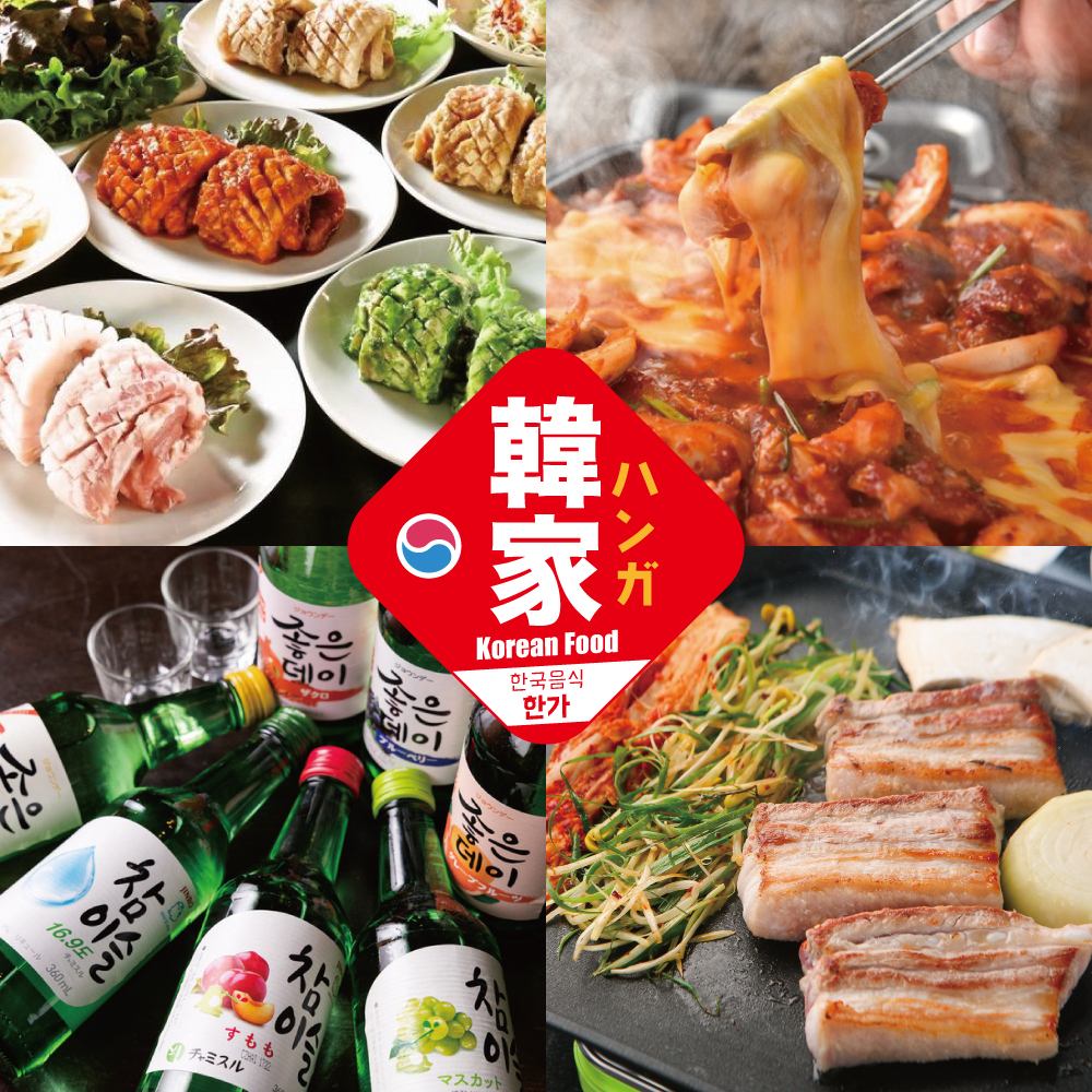 【新宿西口徒歩3分】人気のサムギョプサル食べ放題&本格韓国料理の店「韓家」