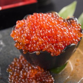 luxury spilled salmon roe