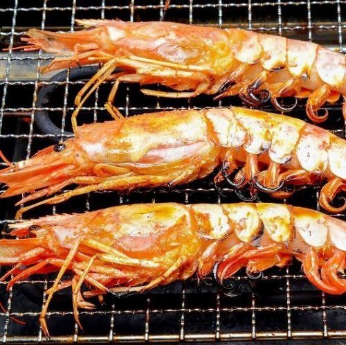 Single Grilled Red Shrimp