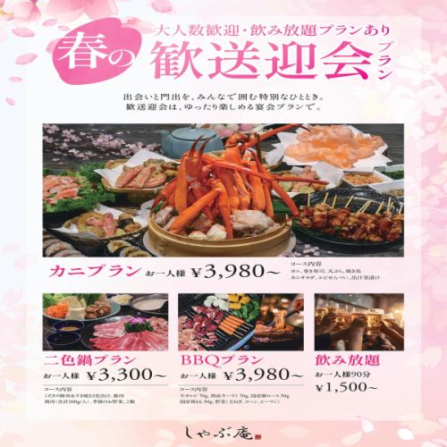  春の歓送迎会にオススメ