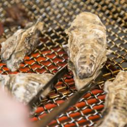 2 grilled oysters from Banshu Ako Samurai Oyster