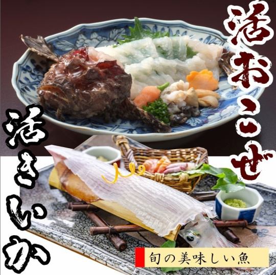 【福岡めぐりコース】 ⇒地魚三昧いけす料理★*飲み放題時間無制限付き*★