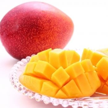 미야자키의 과일을 사용한 리큐어의 사워♪