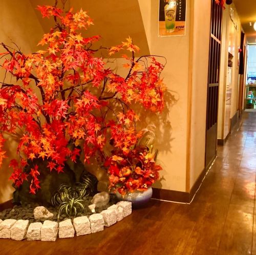 The interior is decorated by the owner himself, allowing you to feel the four seasons